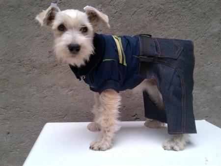 jeans con playera polo